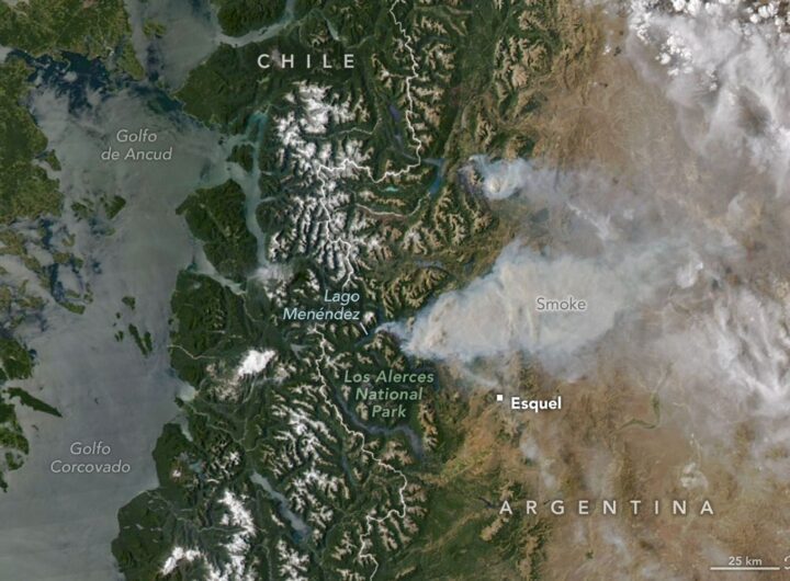 Fire Threatens Rare Forests in Argentina