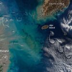 Showy Swirls Around Jeju Island