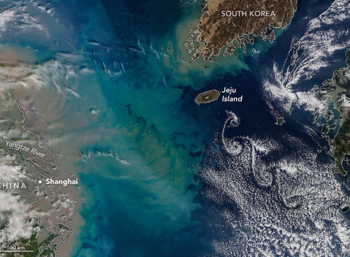 Showy Swirls Around Jeju Island