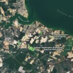 Surveying Popes Creek