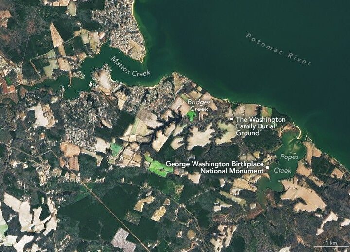 Surveying Popes Creek