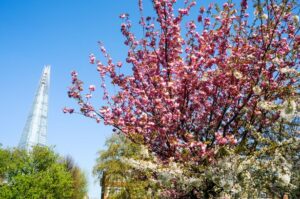 Met Office verdict on when warm Spring temperatures to return after ‘almost freezing’ morning