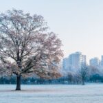 BBC Weather predicts snow to hit London this week in ‘departure from early taste of spring’