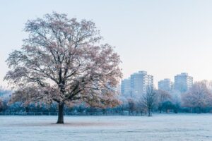 BBC Weather predicts snow to hit London this week in ‘departure from early taste of spring’