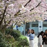BBC Weather verdict on when London will finally get 3 days of sunshine in a row