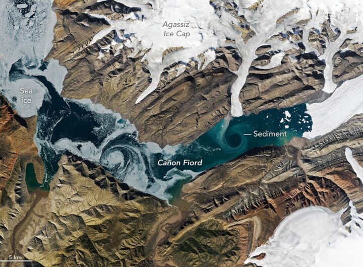 Cañon Fiord’s Whirling Waters