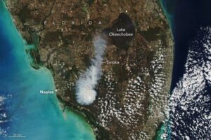 Smoke Rises Over Big Cypress National Preserve