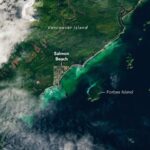 Satellite Spots a Spawn