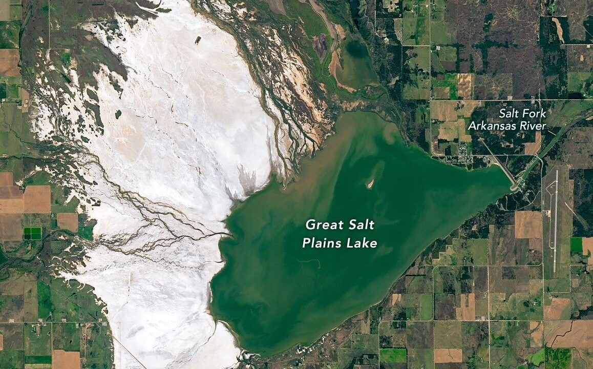 Searching for Selenite