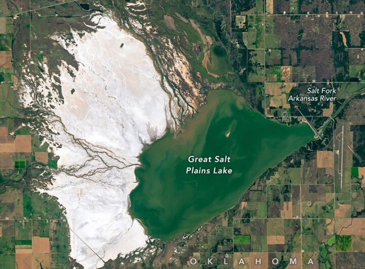 Searching for Selenite