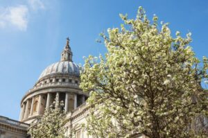 Exact date 20C heat will hit London in new forecast