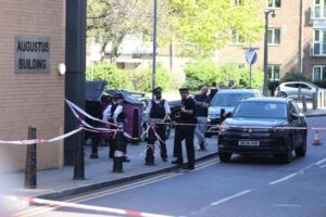 Does crime rise when weather is sunny? Clinical psychologist weighs in