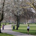 Why hay fever feels so much worse in London according to allergy expert