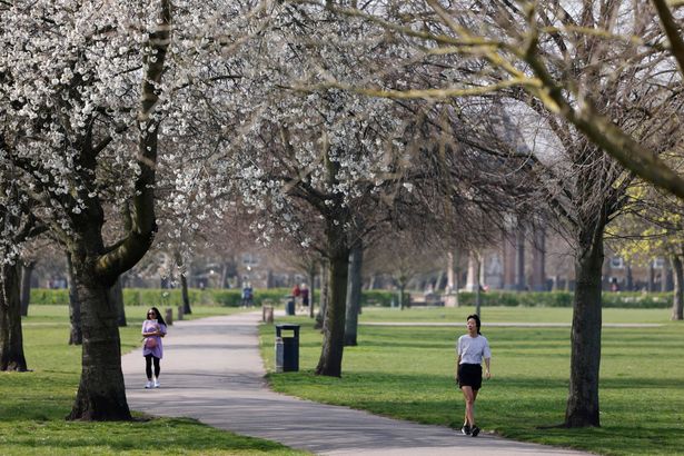 Why hay fever feels so much worse in London according to allergy expert
