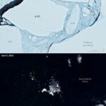 Megaberg Ends Its Long Odyssey at Sea