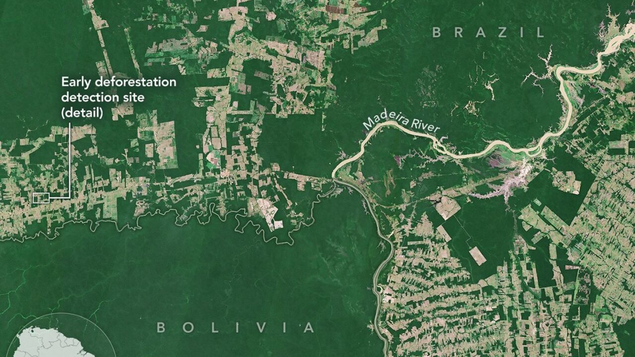 Faster Detection of Forest Loss