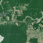 Faster Detection of Forest Loss