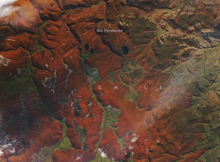 Fiery Fall Color in Southern Chile