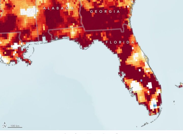 Drought Parches Florida