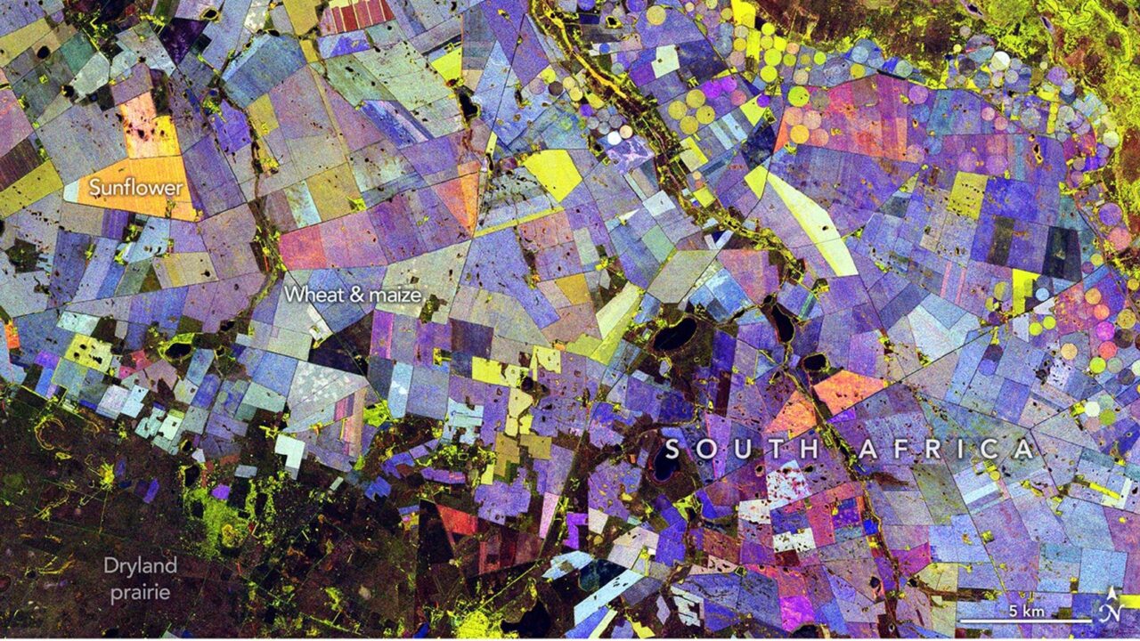 Painting the Growing Season in the Maize Triangle