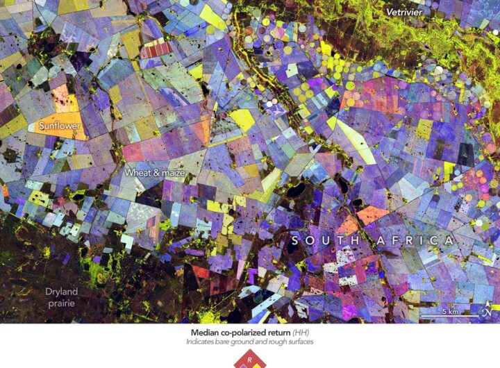 Painting the Growing Season in the Maize Triangle