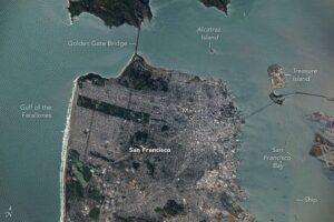 San Francisco’s Metropolitan Mosaic