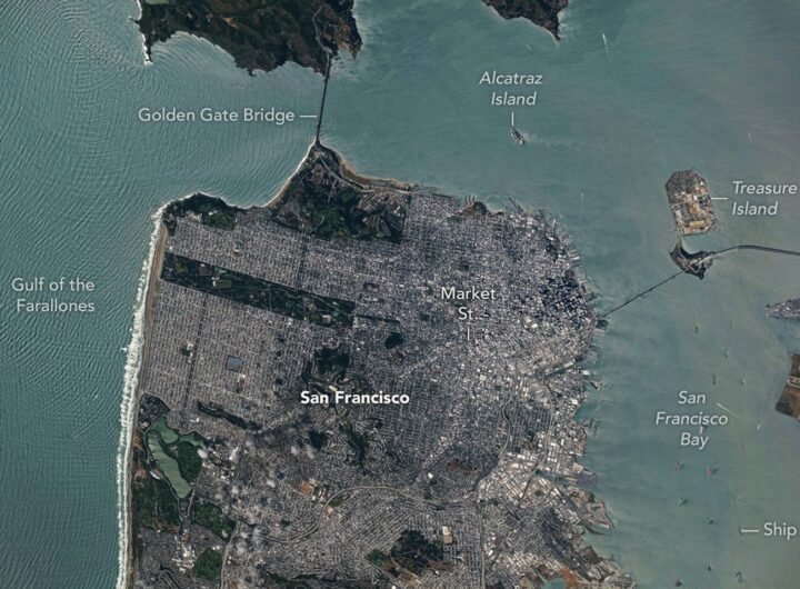 San Francisco’s Metropolitan Mosaic