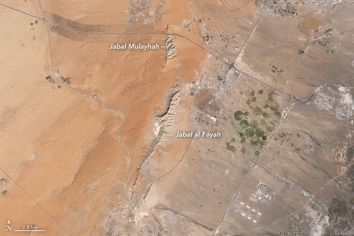 Digging Back in Time in the UAE