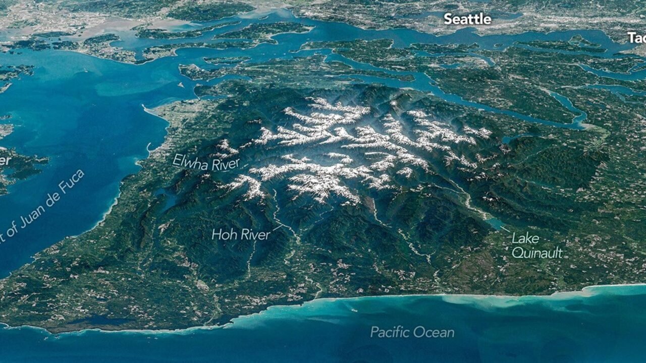 Olympic Mountain Glory