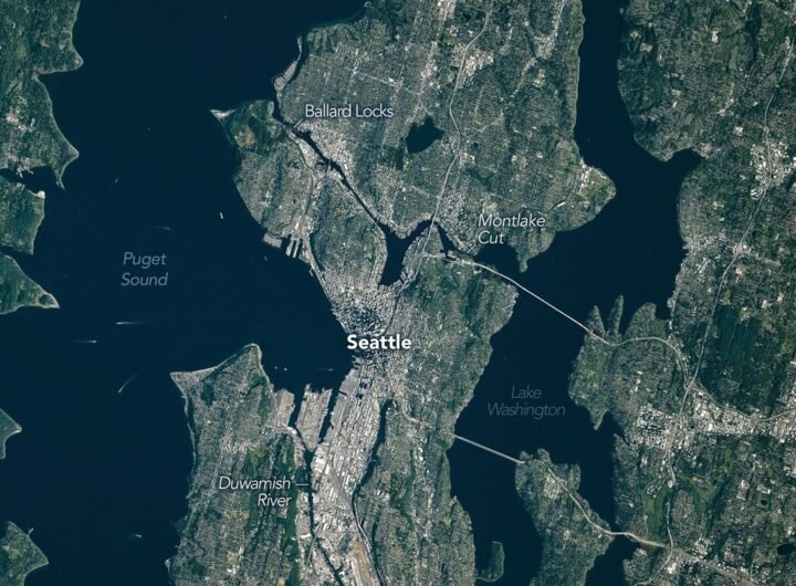 Shaping the Emerald City