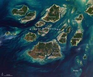 A Tide-Fueled Trove of Biodiversity in Guinea-Bissau