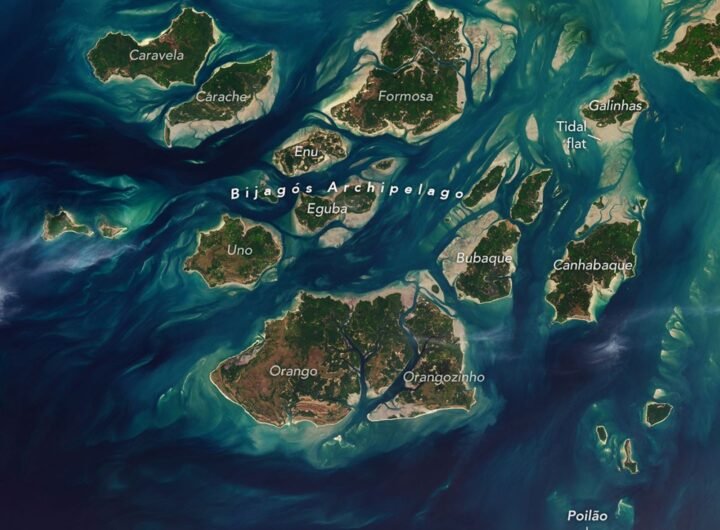 A Tide-Fueled Trove of Biodiversity in Guinea-Bissau